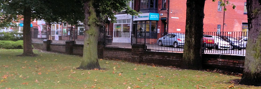 New railings in Romiley Park